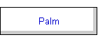Palm