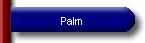 Palm